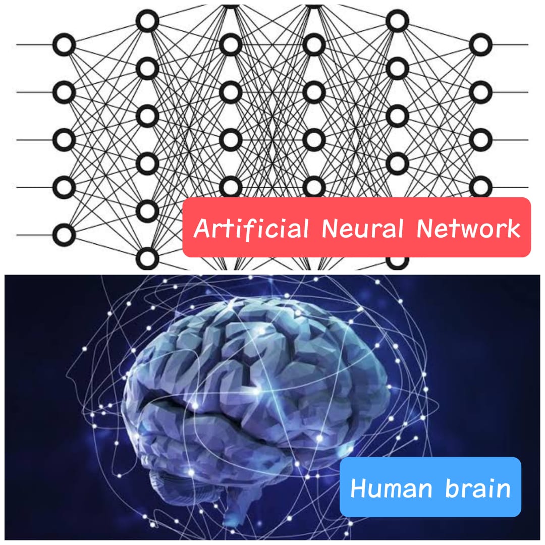 Neural Network vs Human Brain (NPU vs TPU)